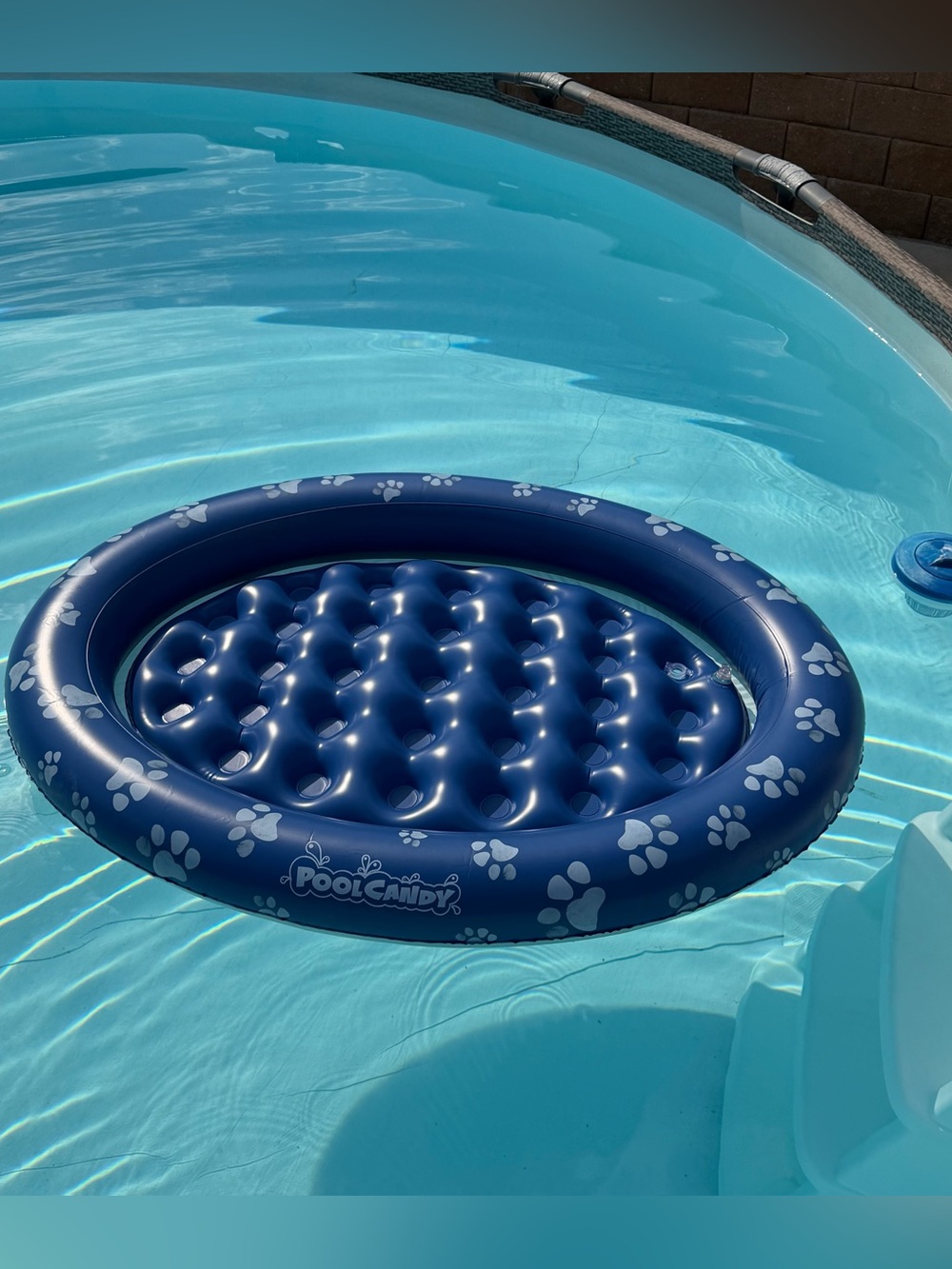 Inflatable Pet Float - Pool float for Dogs All Sizes - Picture 5 of 8